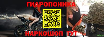 apvp Кимры