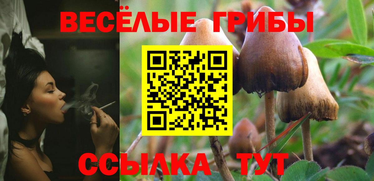 Галлюциногенные грибы мицелий  Вход с VPN  Кулебаки 
